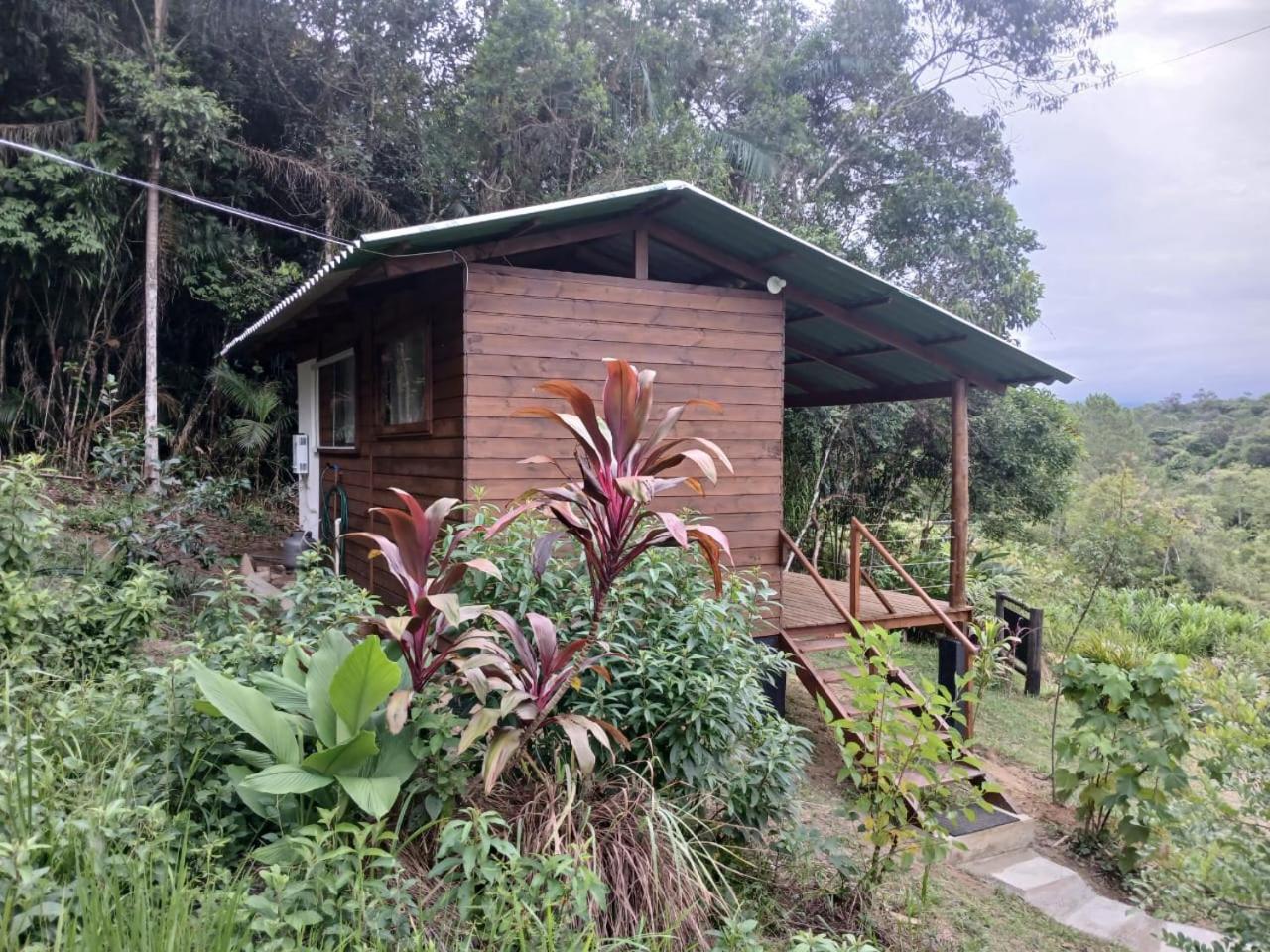 Cabana Manaca Da Serra Morretes Zewnętrze zdjęcie